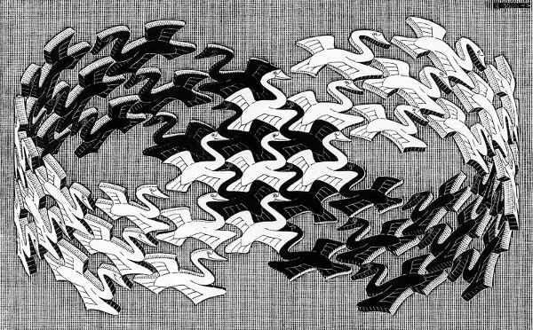 Swans, de M. C. Escher (Gravura em Madeira) - 1956